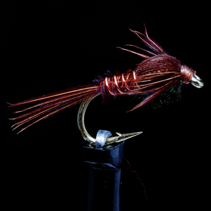 Pheasant Tail Nymph