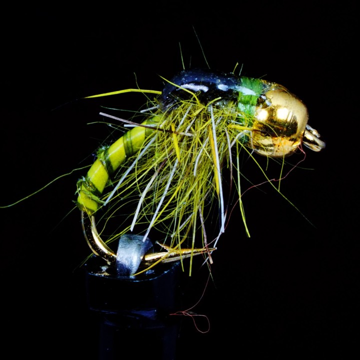 Caddis pupa Biot