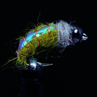Electric Caddis olive B.H