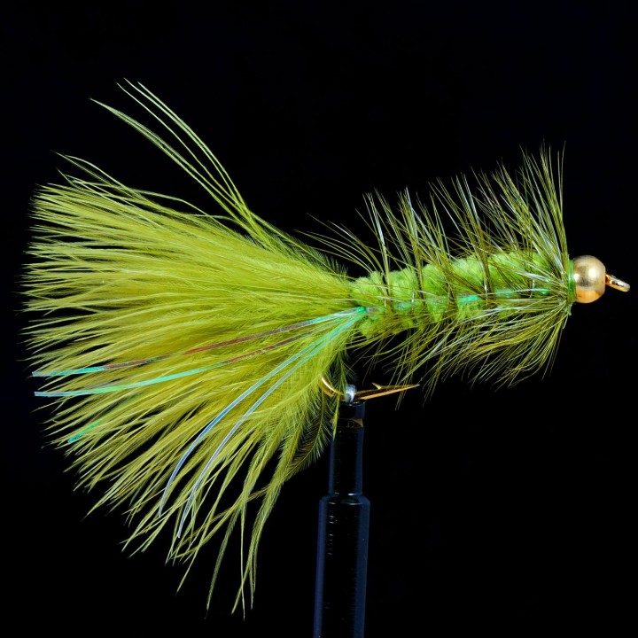 Flash Bugger Olive B.H