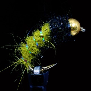 Larva Caddis Green
