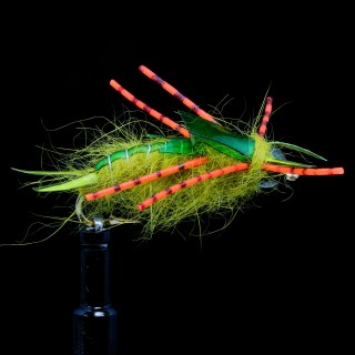 Stonefly Nemesis Oliva