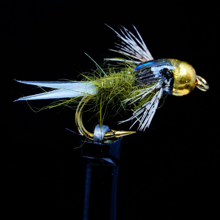 Tung Teaser Olive B.H