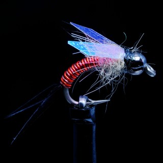Wire Nymph Flash Prince