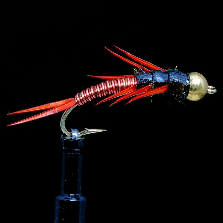 Wired Brown Stonefly