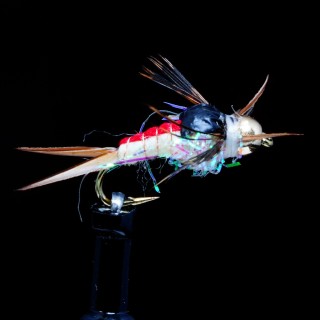 Yellow Sally Nymph Stone mini