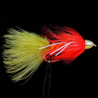 Pancora special cone