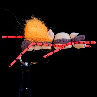 Fat Albert Legs Orange