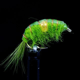 Bead Body Scud Olive