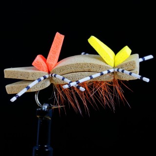 Chernobyl South Fork