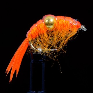 Bead Body Scud Orange