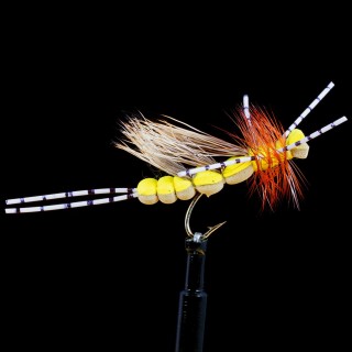 Turner's Bank Robber