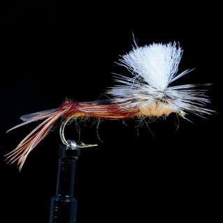 Hopper Parachute Tan