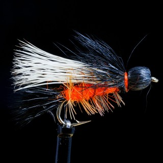 Henry's Fork Salmonfly