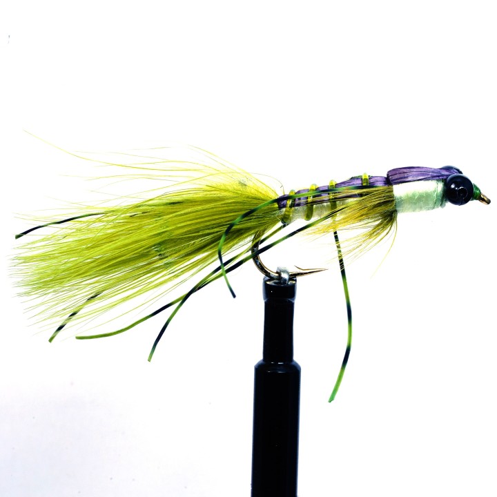 Carp Damsel  Olive