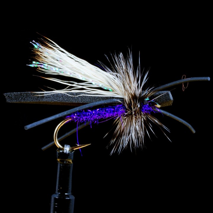 Gypsy King Variant Puerple