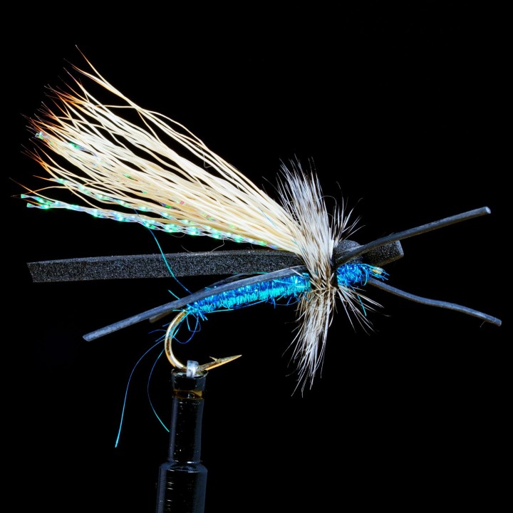 Gypsy King Variant Blue