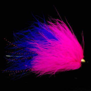 Eggabou Aleutian Queen