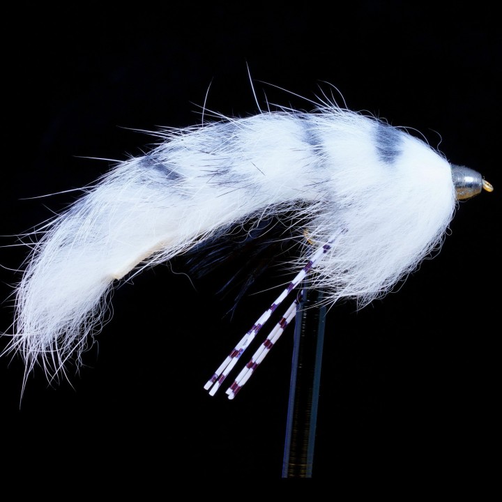 Mallard's Zebra Sculpin  White