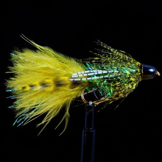 Chou Fortune Cookie Olive