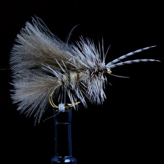 Chickabou Caddis