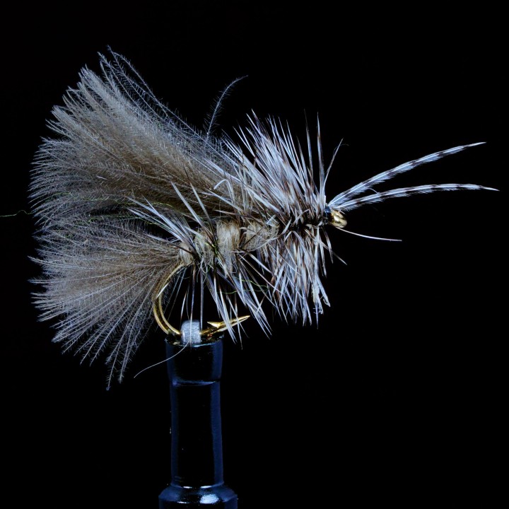 Chickabou Caddis