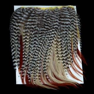 Metz Multi packs Large Grizzly - Cafe - Dun