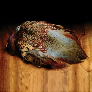 RINGNECK PHEASANT COMPLETE TAIL