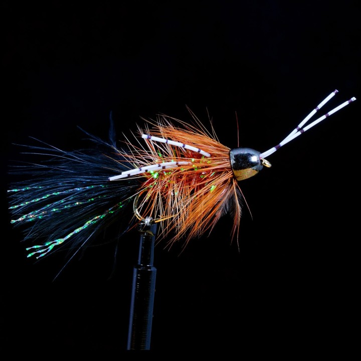 Trina Conehead Bugger  Beeotch