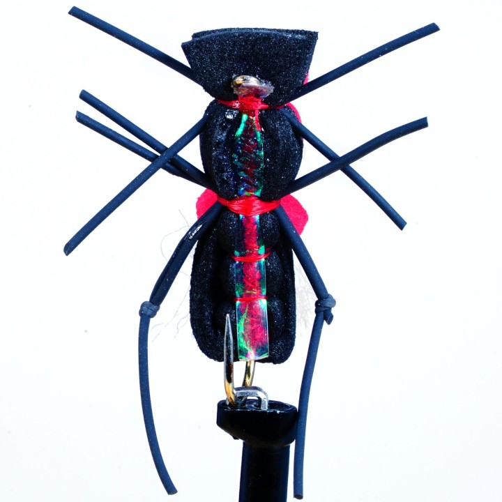 Fat Albert Black Flash