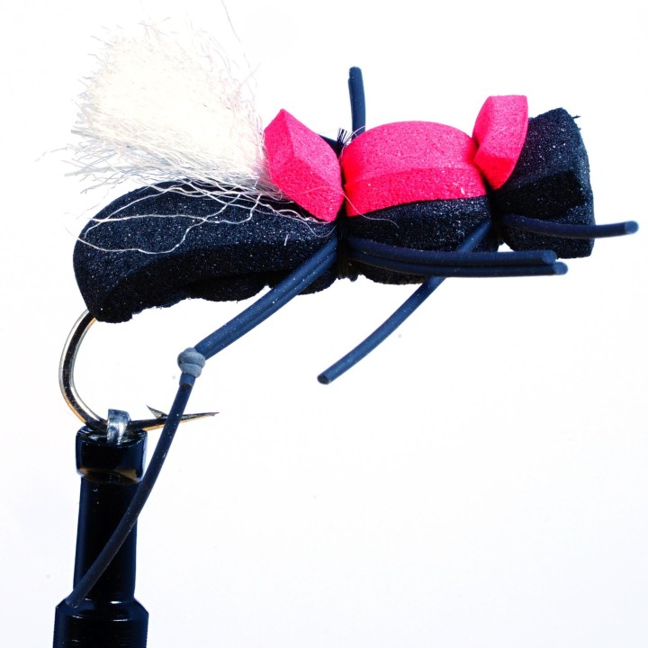 Fat Albert Black Flash