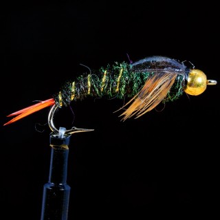 Skwalla Epoxy Wingcase