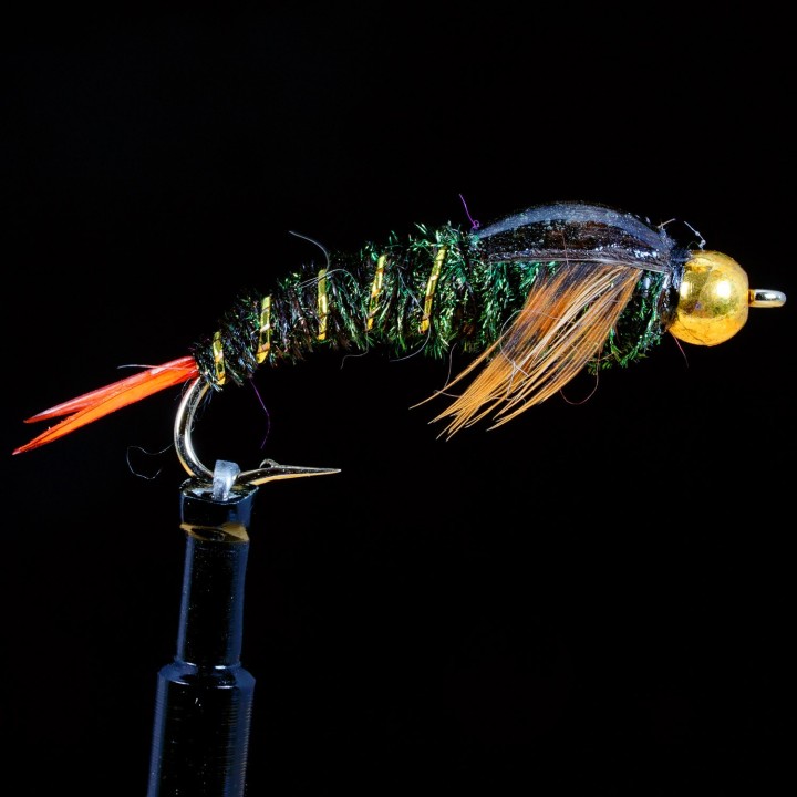 Skwalla Epoxy Wingcase