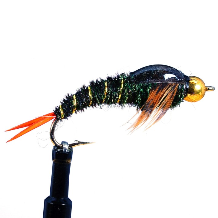 Skwalla Epoxy Wingcase