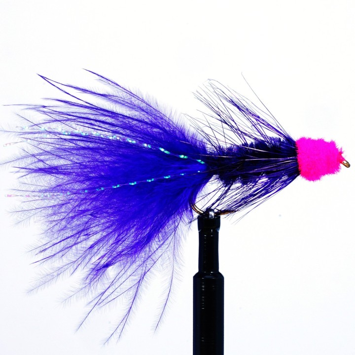 Egg Sucking Leech Purple