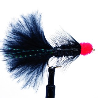 Egg Sucking Leech  Black