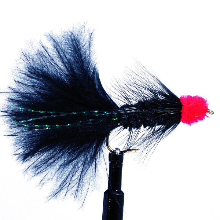 Egg Sucking Leech  Black