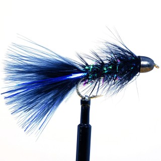 Flash blue Body Buggers Black C.H