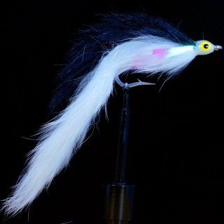 Sardina Zonker Sardine