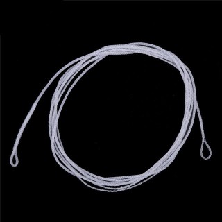 Braided Leader 10ft 20lb