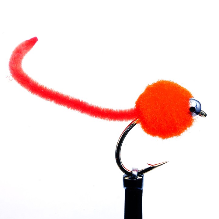 Egg Sucking Worm - Orange