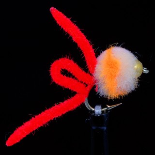 Eggi Juan Kanobi Red