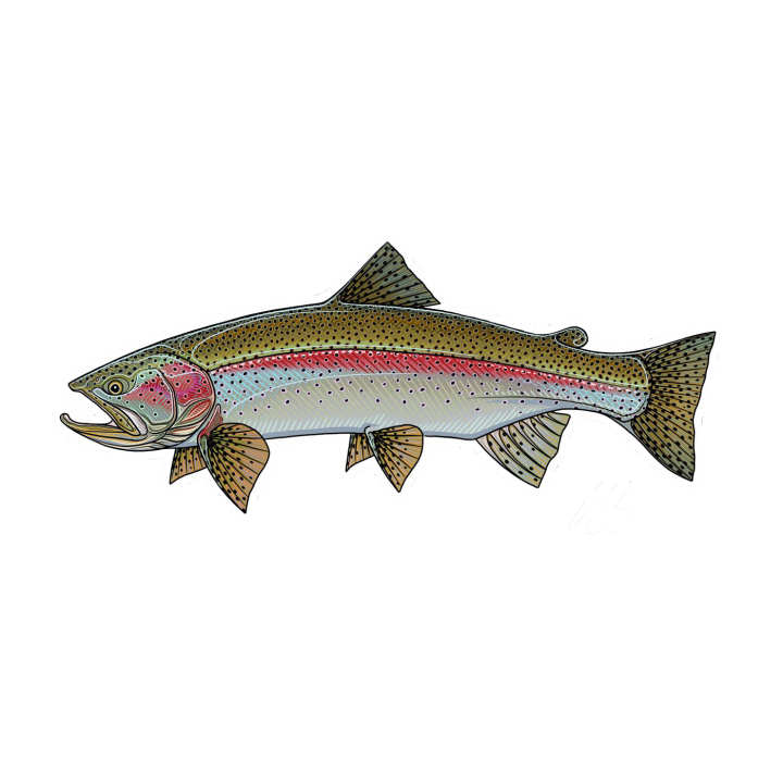 Arcoiris 13,5 x 5,5cm