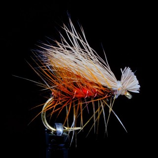Elk Hair Caddis Royal Coachman