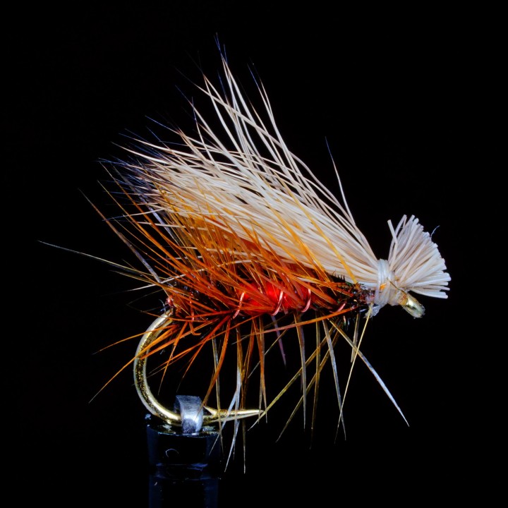 Elk Hair Caddis Royal Coachman
