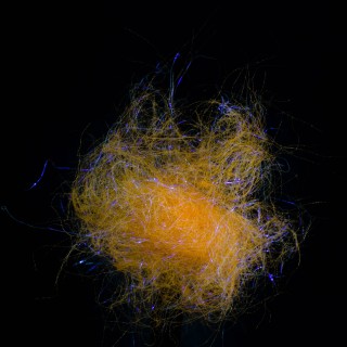 Dubbing Laser Dry Fly Orange