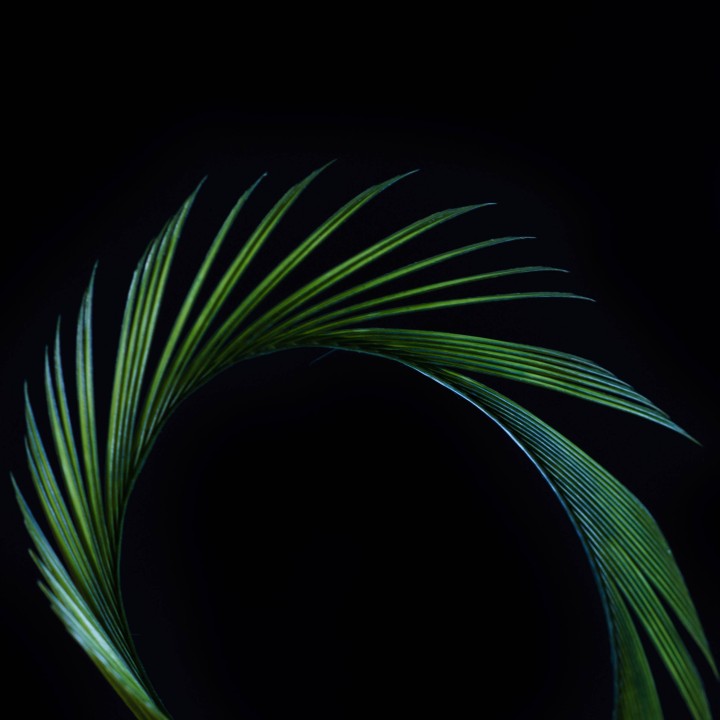 Stripped Goose Biots Olive