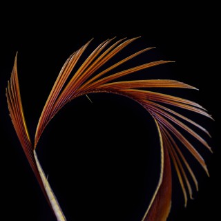 Stripped Goose Biots Stone