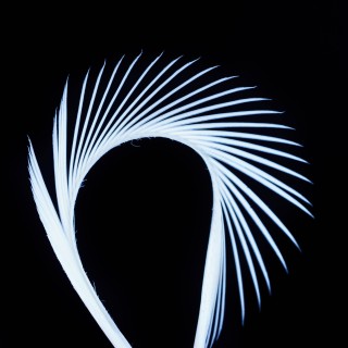 Stripped Goose Biots White