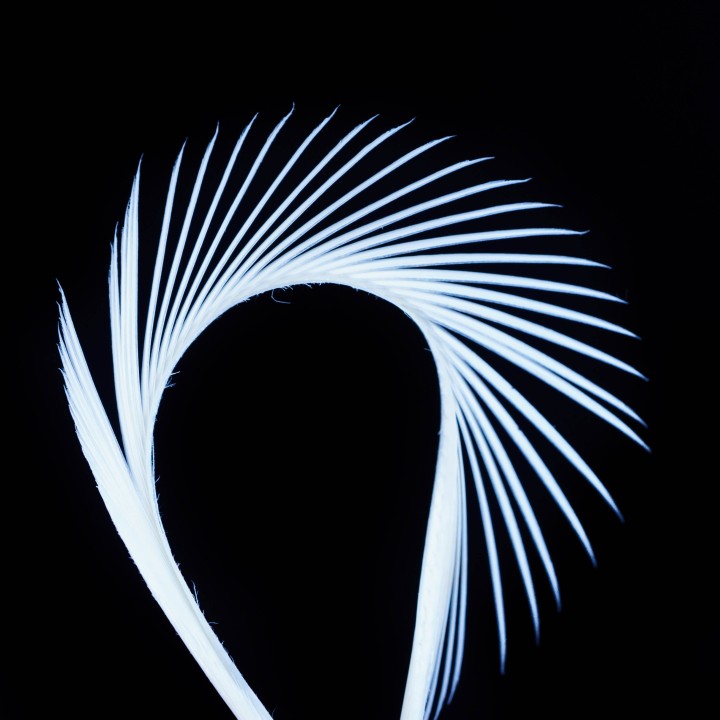 Stripped Goose Biots White